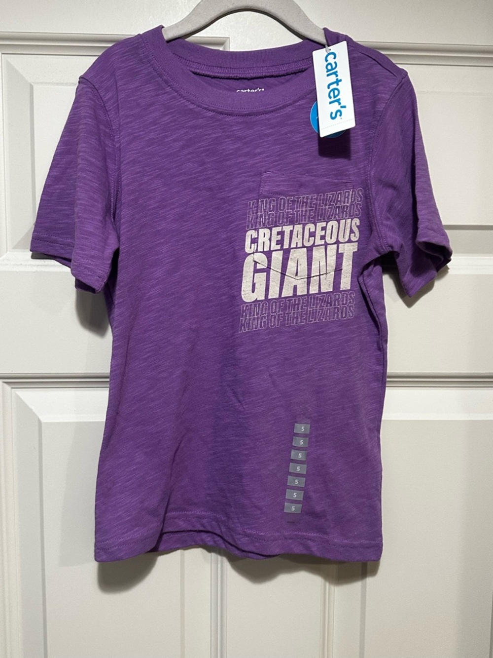 Carter's graphic Dinosaur Tee 5T NWT